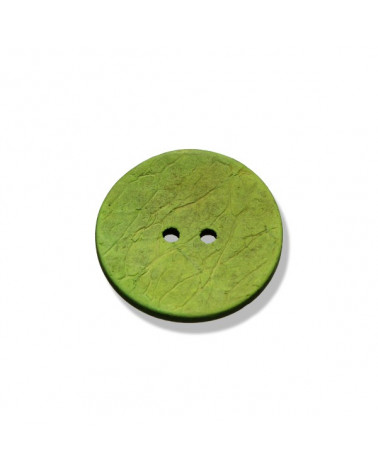Coconut Button 09167