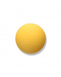 Polyester Button 25033