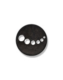 Coconut Button 26067
