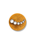Coconut Button 26067